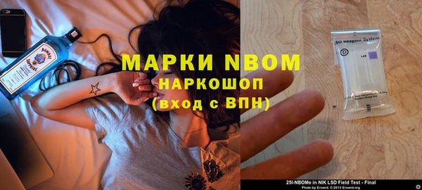 мет Алексин