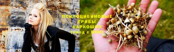 круглые Алексеевка